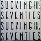 Picture for song 'Dancing Queen II.mp3' by artist 'Suckin In The 70s'