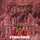 Picture for song 'Love You Down' by artist 'SWAGGAHOLIKS BEATS'
