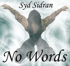 Picture for song '5 - Walking In SL Blues - No Words Album' by artist 'Syd Sidran'