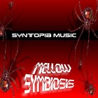 Picture for song 'Mellow Symbiosis' by artist 'Syntopia Music'