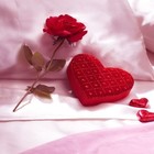 Picture for song 'A ROSE ON MY PILLOW' by artist 'tamsnumber4'