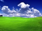 Picture for song 'Field Of Dreams' by artist 'T. EFF PRODUCTIONS'