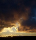 Picture for song 'AINT NO SUNSHINE' by artist 'THE ADAMS APPLE'