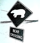 Picture for song 'Look what you've done' by artist 'The Amazing Erik Z'