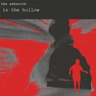 Picture for song 'I Dreamt of This Place' by artist 'The Ashworth'