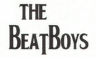 Picture for song 'I'm Looking Through You' by artist 'The Beat Boys'