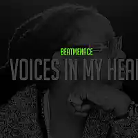 Picture for song '*trap* Voices In My Head ' by artist 'TheBeatMenace'