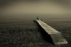 Picture for song 'All Alone Again' by artist 'The Dying Breeders'