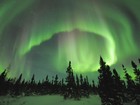 Picture for song 'Northern Lights' by artist 'Thee Bedbugs'