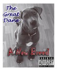Picture for song 'Like a Hurricane' by artist 'The Greatest Dane'