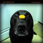 Picture for song 'Banana Cat' by artist 'the marble tea'
