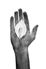 Picture for song 'In The Pocket' by artist 'The Meridian Lines'