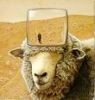 Picture for song 'Do Androids Dream of Electric Sheep' by artist 'The Moonrider Project'