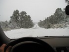 Picture for song 'Polar (2009)' by artist 'The Moribund Ironies'