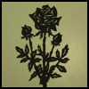 Picture for song 'When You're Gone' by artist 'The One Morning Project'