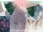 Picture for song 'The AnaCake A Mafia Mafia Incorperrrrrrrrrrastegti' by artist 'the PanCake Mafia'