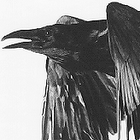 Picture for song 'The Raven' by artist 'The Pastichio Medley'