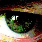 Picture for song 'See You Around' by artist 'The Psychic Wardrobes'