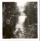 Picture for song 'Don't go too deeply into motives' by artist 'The Rural Tradition'