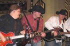 Picture for song 'Love And Alcohol' by artist 'The Terry Allen Band'