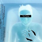 Picture for song 'Webs' by artist 'The Trying'