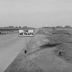 Picture for song 'For What It's Worth' by artist 'The WETNAPS'