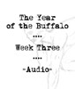 Picture for song 'Week Three: Doppelganger' by artist 'The Year of the Buffalo'