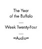 Picture for song 'Week Twenty-Four: Branded' by artist 'The Year of the Buffalo (Volume II)'