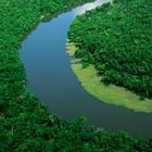 Picture for song 'Floating Amazonas' by artist 'thma'