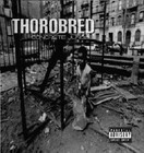 Picture for song 'Concrete Jungle' by artist 'THOROBRED 4080 Music Group'