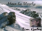 Picture for song 'Move So Slowly' by artist 'Timothy Gales'