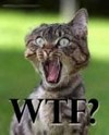 Picture for song 'WTF' by artist 'T Musik'