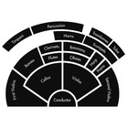 Picture for song 'Lets not execrate the power of orchestra' by artist 'TomaS BocaN'