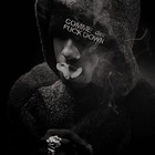 Picture for song 'ZOOTED (TD/THE UNION) (sold)' by artist 'Tom Davids'