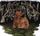 Picture for song 'Swamp Song' by artist 'Tom S Music'