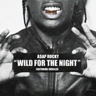 Picture for song 'Wild For The Night (Free D/L)' by artist 'Tony Fadd'