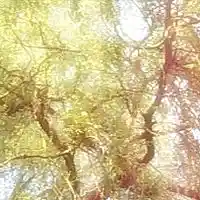 Picture for song 'BloodySunLights Bobs your uncle Edit' by artist 'Tony Mueller'