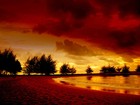 Picture for song 'falling' by artist 'Top Status Productionx'