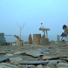Picture for song 'altoja' by artist 'toto blanke and friends'