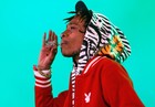 Picture for song 'The Life | Wiz Khalifa Type Beat' by artist 'Trackanometry'