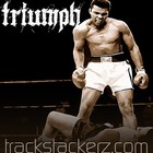 Picture for song 'Triumph' by artist 'TRACKSTACKERZ'