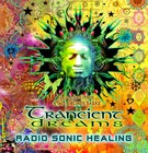 Picture for song 'Spacious Spice' by artist 'Trancient Dreams'