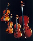 Picture for song 'Story Of The Violin!' by artist 'Trees Beats'