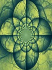 Picture for song 'Twilight Squared Garden' by artist 'Twilight Squared Garden'
