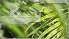 Picture for song 'Brisa de verano' by artist 'UltraBass'