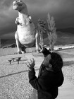Picture for song 'Girl Unknown' by artist 'Universal Trap'