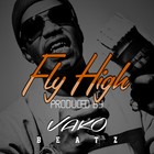 Picture for song 'VakoBeatz - Fly High' by artist 'VakoBeatz'