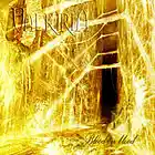 Picture for song 'Blood on blood' by artist 'VALKIRIA'