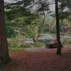 Picture for song 'Parcel of Rogues (Grp)' by artist 'Viking Blues'