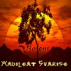 Picture for song 'Ambilent Sunrice' by artist 'Violent'